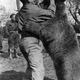 Illustration for article titled The Incredible Story of Wojtek, the Soldier Bear